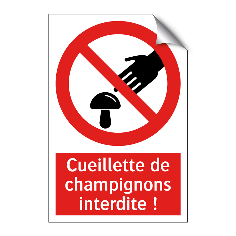 Cueillette de champignons interdite !