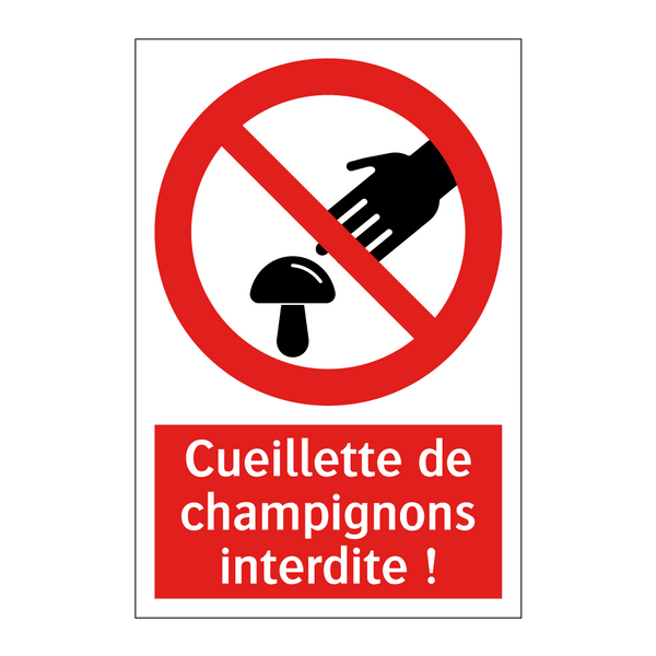 Cueillette de champignons interdite !