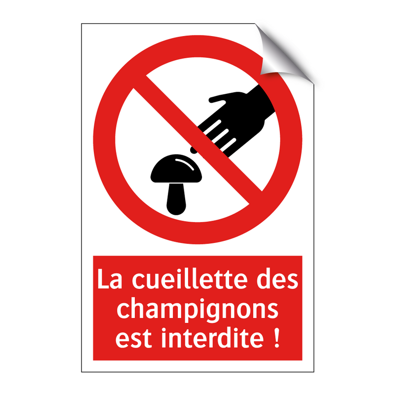 La cueillette des champignons est interdite !