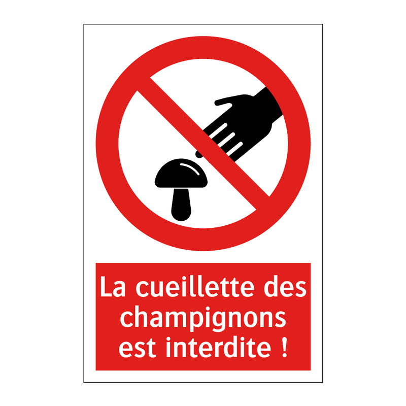 La cueillette des champignons est interdite !
