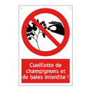 Cueillette de champignons et de baies interdite !