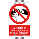 Cueillette de champignons et de baies interdite !