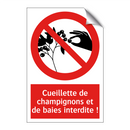 Cueillette de champignons et de baies interdite !