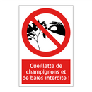 Cueillette de champignons et de baies interdite !
