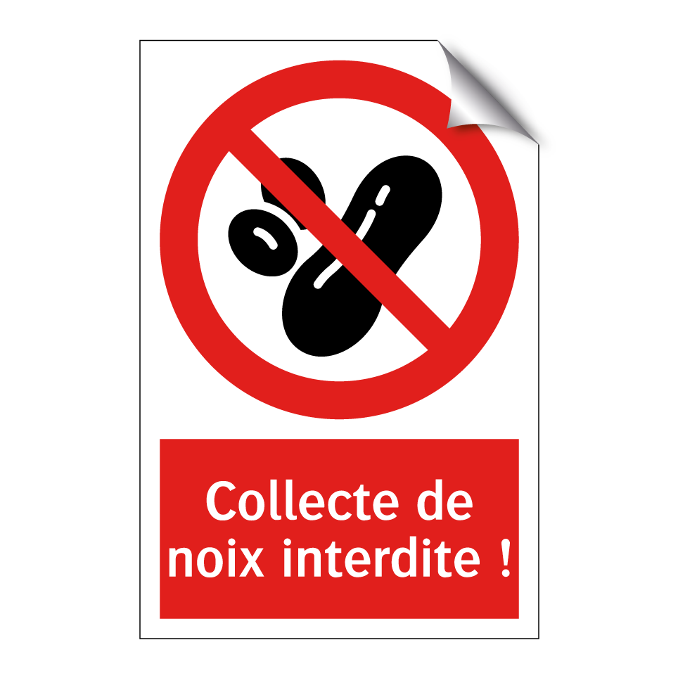 Collecte de noix interdite !