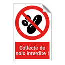 Collecte de noix interdite !