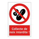 Collecte de noix interdite !