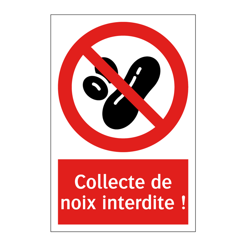 Collecte de noix interdite !
