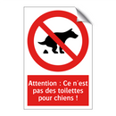 Attention : Ce n'est pas des toilettes pour chiens !