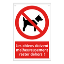Les chiens doivent malheureusement rester dehors !