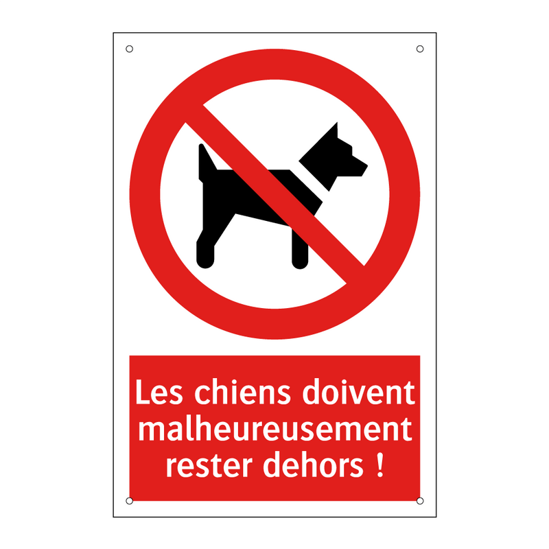 Les chiens doivent malheureusement rester dehors !