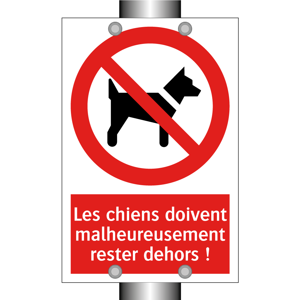 Les chiens doivent malheureusement rester dehors !