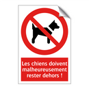Les chiens doivent malheureusement rester dehors !