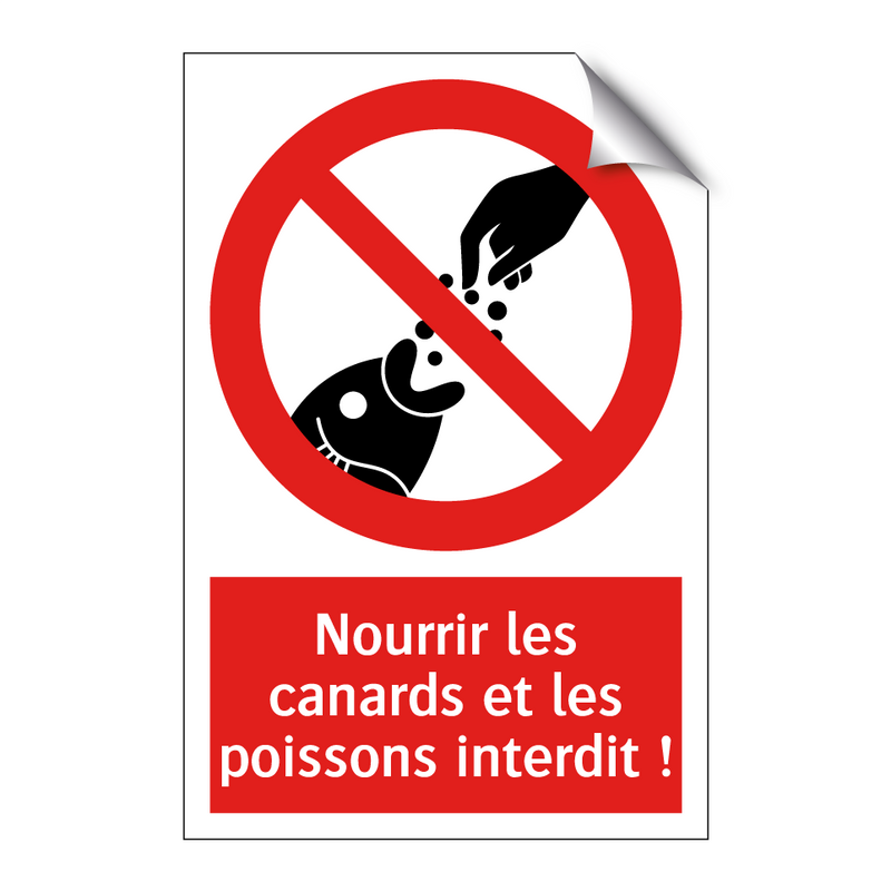 Nourrir les canards et les poissons interdit !