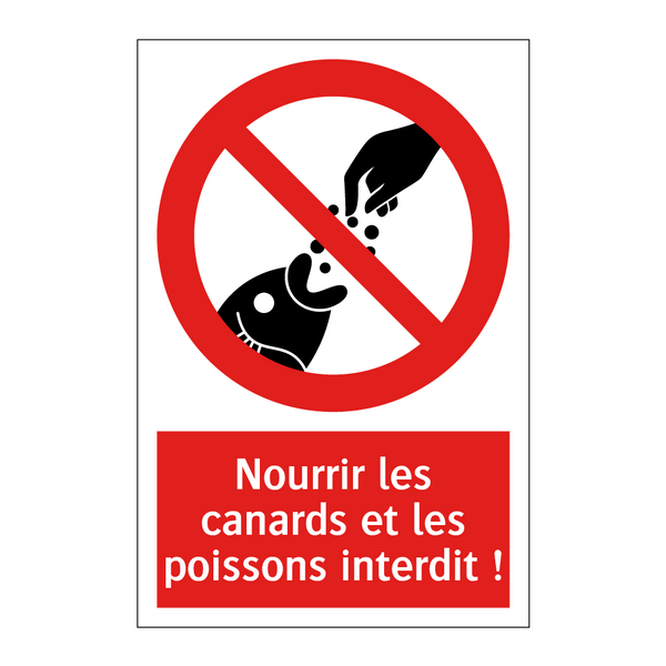 Nourrir les canards et les poissons interdit !