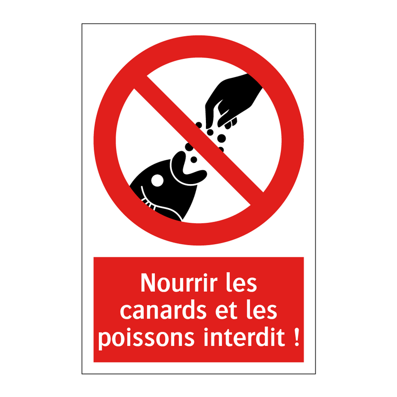 Nourrir les canards et les poissons interdit !