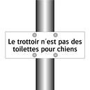 Le trottoir n'est pas des toilettes pour chiens