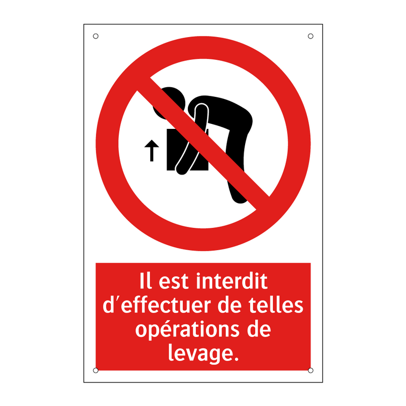 Il est interdit d'effectuer de telles opérations de levage.