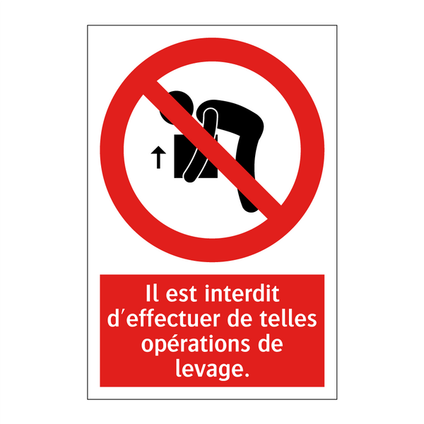 Il est interdit d'effectuer de telles opérations de levage.