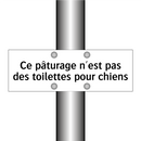 Ce pâturage n'est pas des toilettes pour chiens