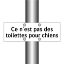 Ce n'est pas des toilettes pour chiens
