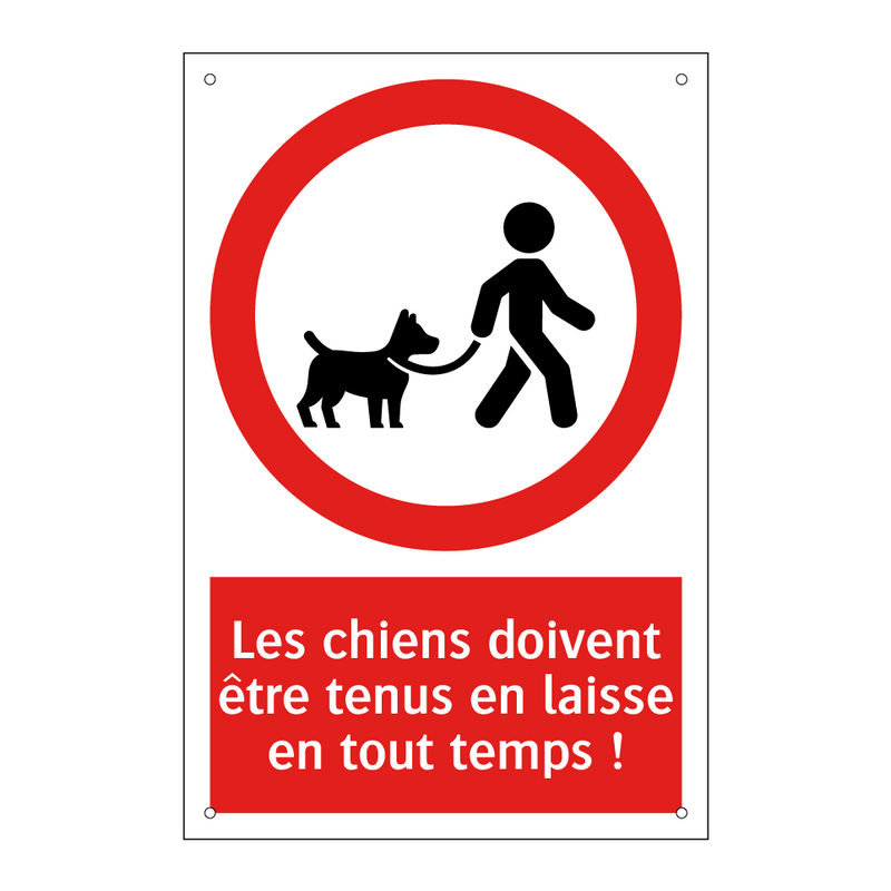Les chiens doivent être tenus en laisse en tout temps !