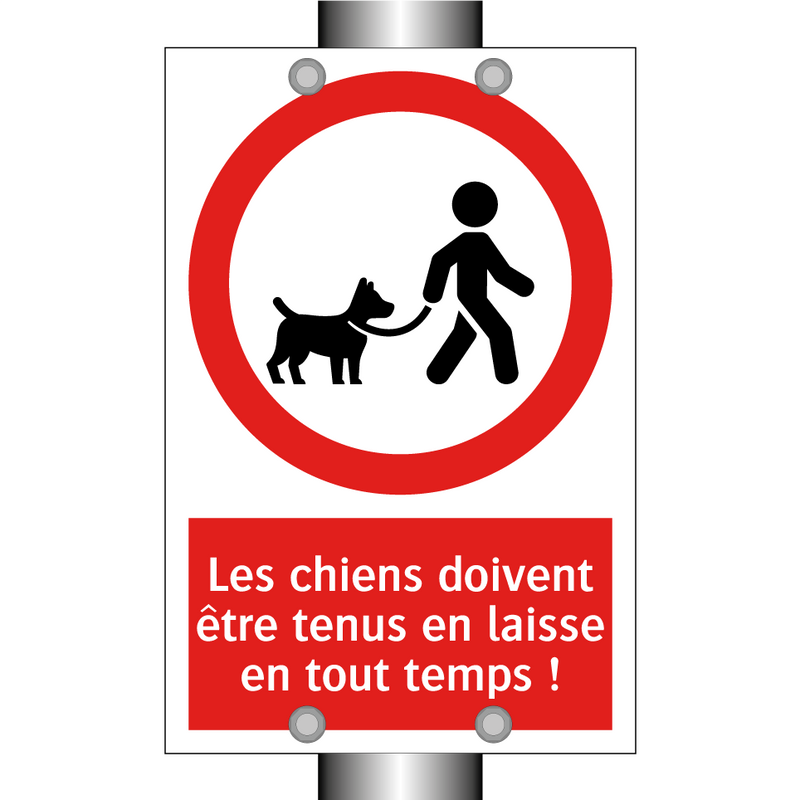 Les chiens doivent être tenus en laisse en tout temps !