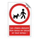 Les chiens doivent être tenus en laisse en tout temps !