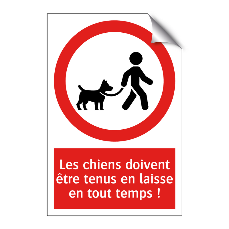 Les chiens doivent être tenus en laisse en tout temps !