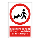 Les chiens doivent être tenus en laisse en tout temps !