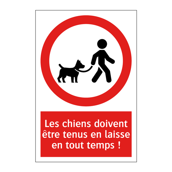 Les chiens doivent être tenus en laisse en tout temps !