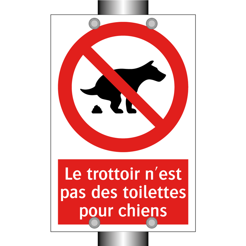 Le trottoir n'est pas des toilettes pour chiens