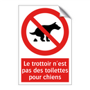 Le trottoir n'est pas des toilettes pour chiens