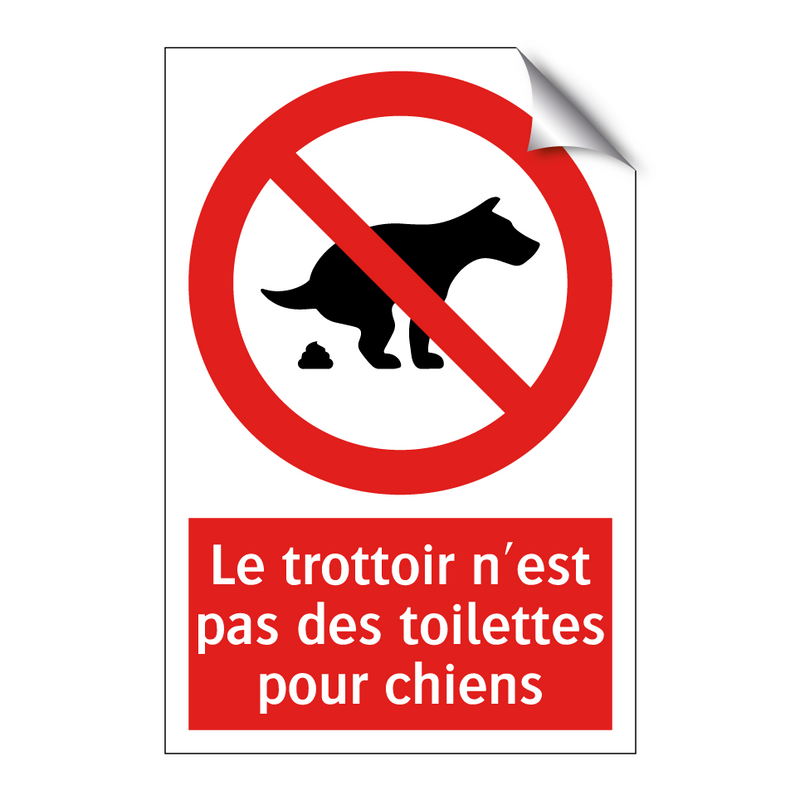 Le trottoir n'est pas des toilettes pour chiens