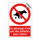 Ce pâturage n'est pas des toilettes pour chiens