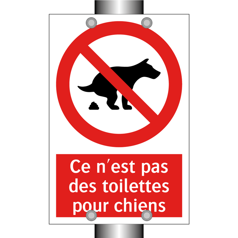 Ce n'est pas des toilettes pour chiens