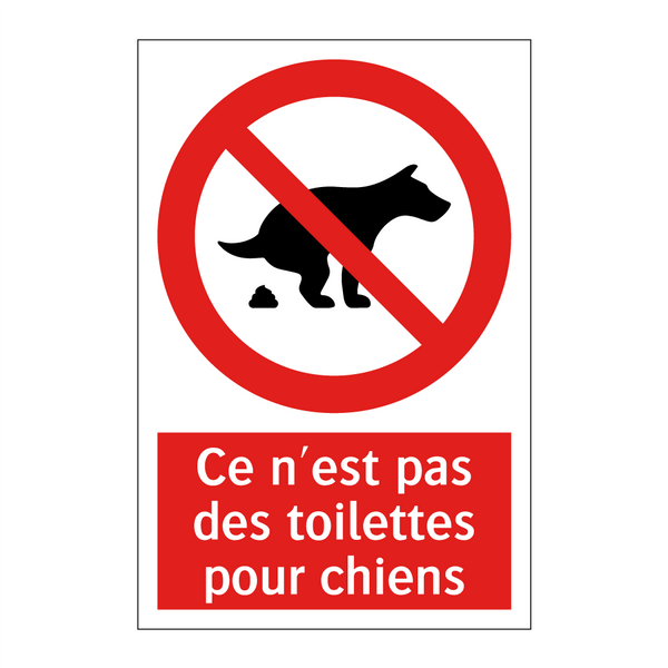 Ce n'est pas des toilettes pour chiens