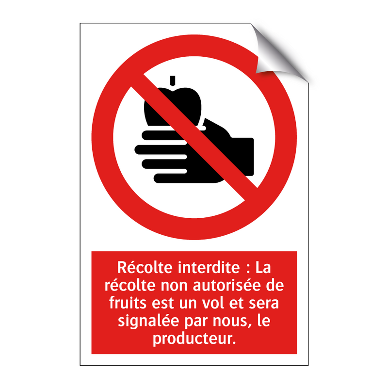 Récolte interdite : La récolte non autorisée de fruits est un vol et sera signalée par nous, le producteur.