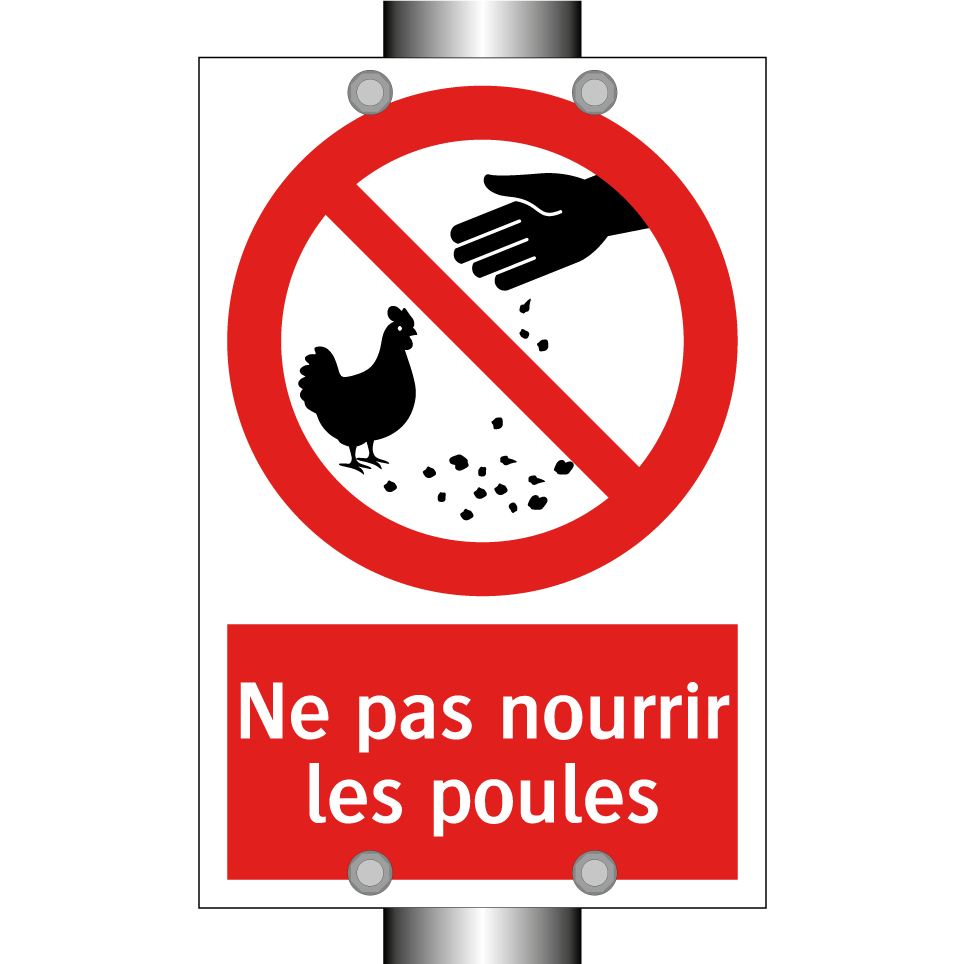 Ne pas nourrir les poules