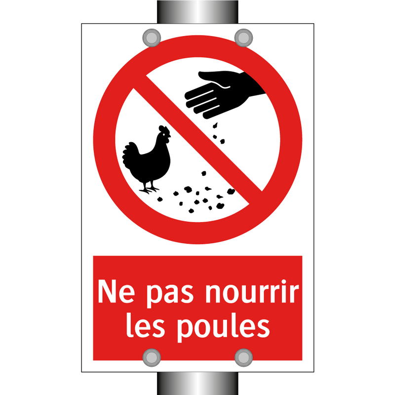 Ne pas nourrir les poules