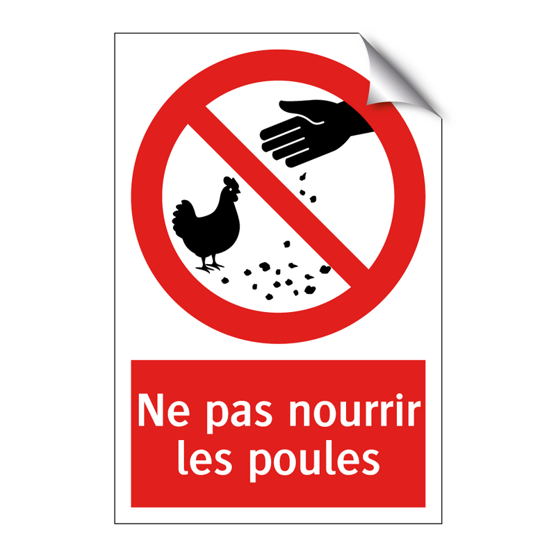 Ne pas nourrir les poules