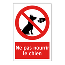 Ne pas nourrir le chien