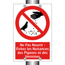 Ne Pas Nourrir : Évitez les Nuisances des Pigeons et des Vermines