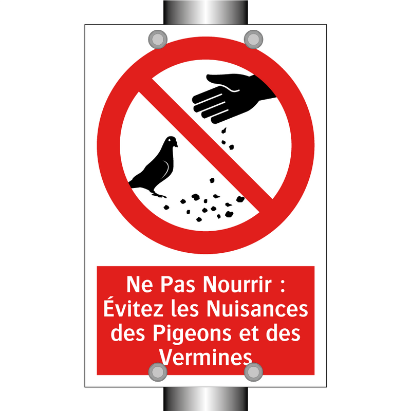 Ne Pas Nourrir : Évitez les Nuisances des Pigeons et des Vermines