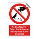 Ne Pas Nourrir : Évitez les Nuisances des Pigeons et des Vermines
