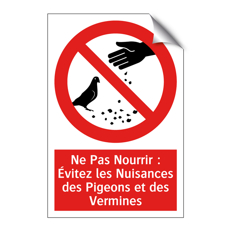 Ne Pas Nourrir : Évitez les Nuisances des Pigeons et des Vermines