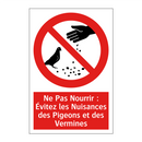 Ne Pas Nourrir : Évitez les Nuisances des Pigeons et des Vermines