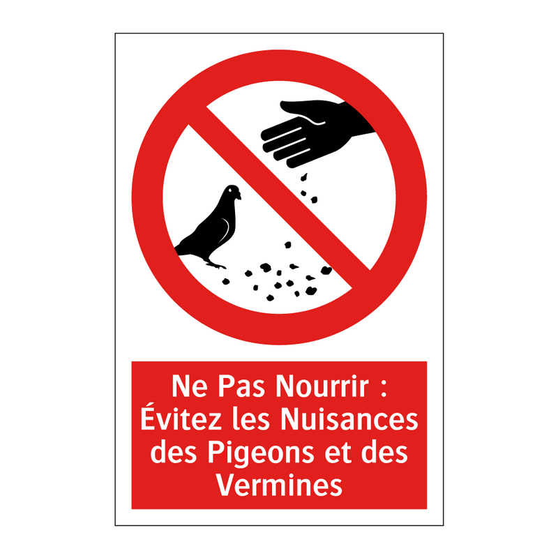 Ne Pas Nourrir : Évitez les Nuisances des Pigeons et des Vermines