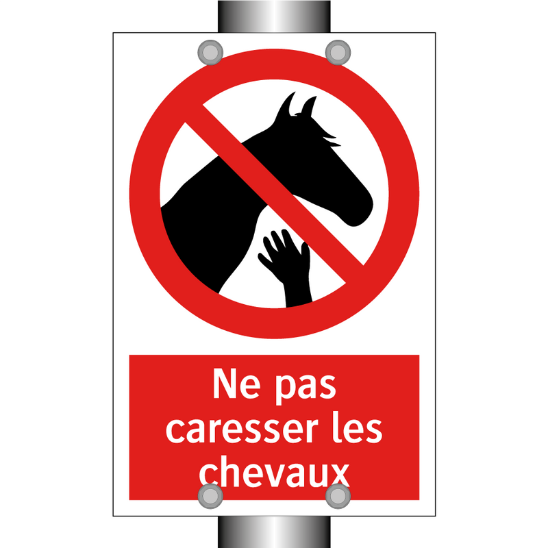 Ne pas caresser les chevaux