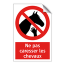 Ne pas caresser les chevaux